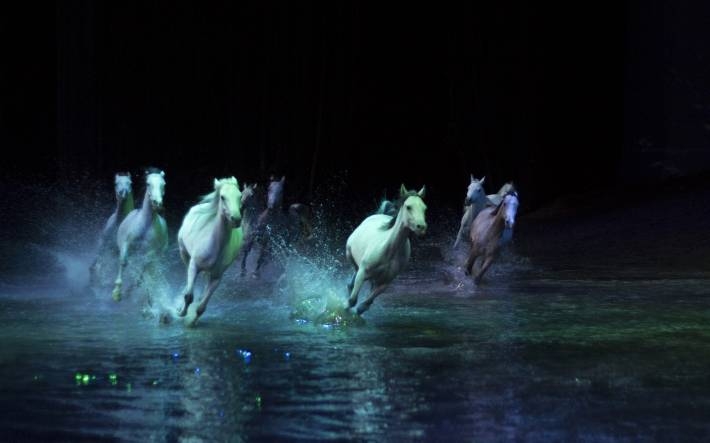 CAVALIA·舞马精彩演出电脑壁纸 第二辑