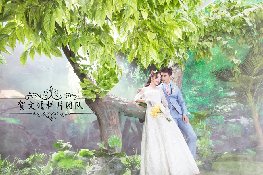 丛林物语 婚纱照
