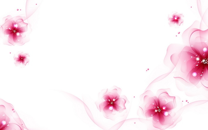 色彩花朵桌面壁纸 1920X1200【21P】