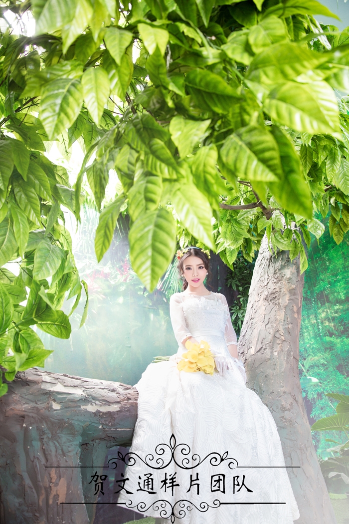 丛林物语 婚纱照