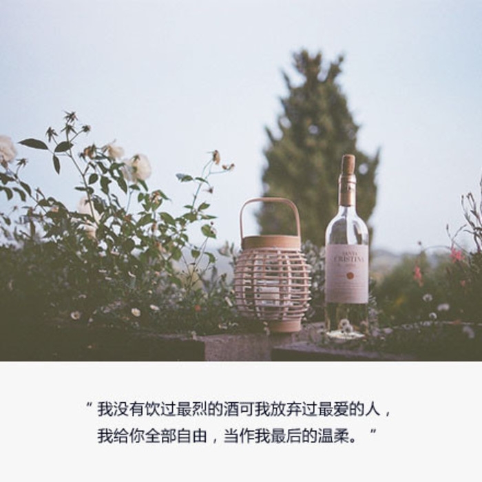 DEN.等你太远