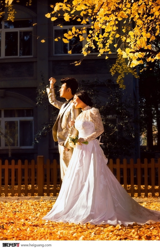 秋的记忆 婚纱照