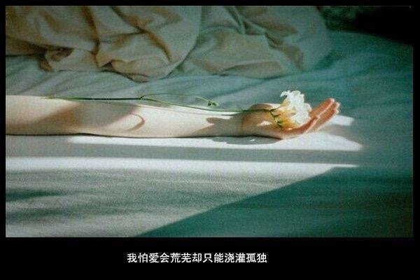 我怕爱会荒芜，却只能浇灌孤独
