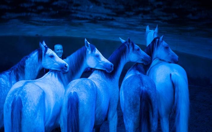 CAVALIA·舞马精彩演出电脑壁纸 第二辑