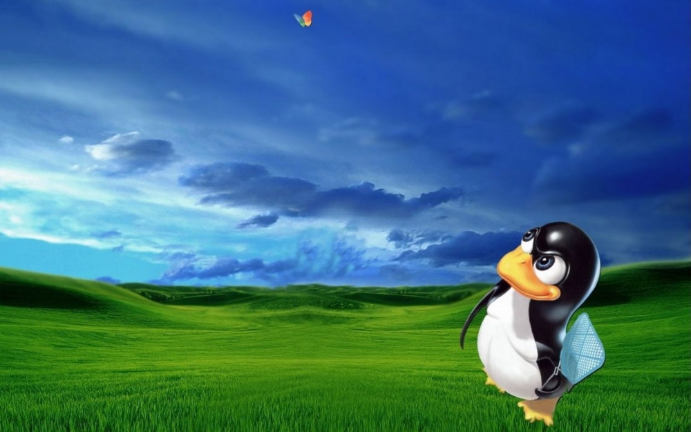 19寸宽屏Linux