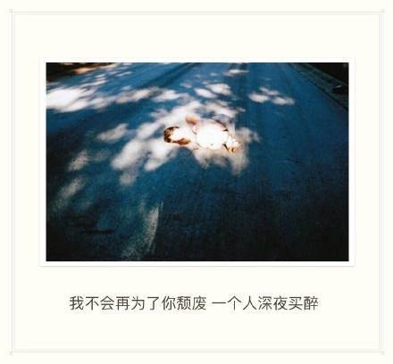 我们明明不是陌生人，却要装的比陌生人还陌生