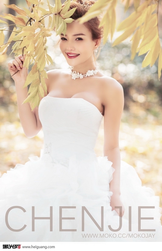 如诗如画 婚纱照