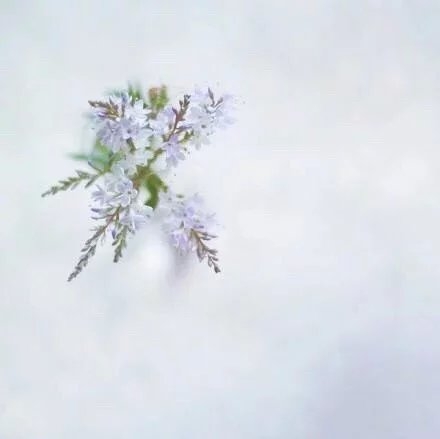 倾尽几许，唯有自己明白