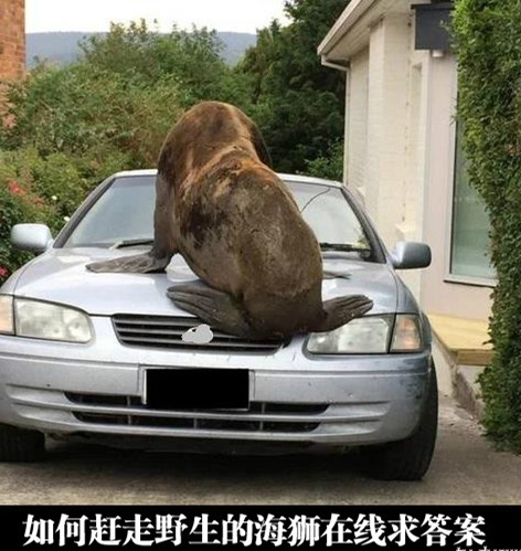 直接开走看看它平衡力有没有这么好