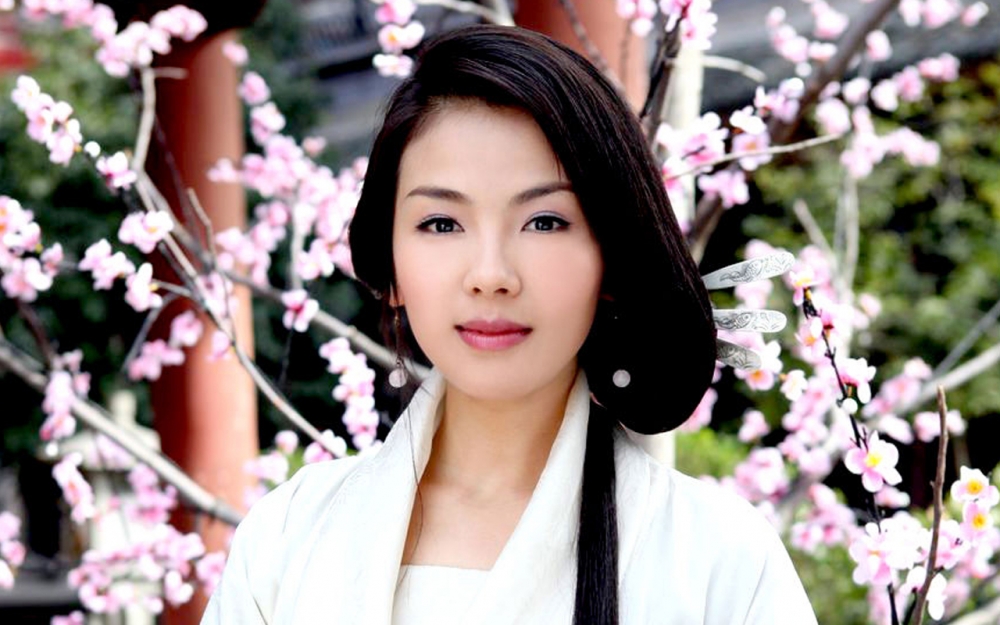 倾世皇妃刘涛