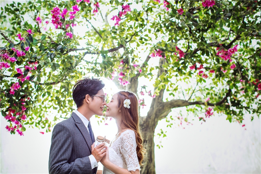 爱情树下 婚纱照