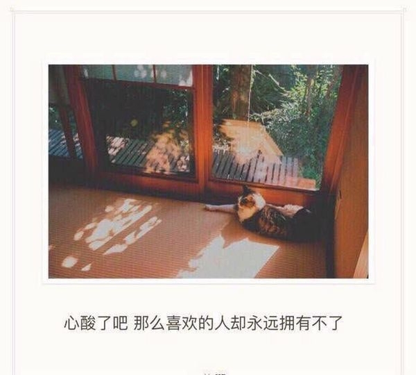 心酸了吧，那么喜欢的人却永远拥有不了