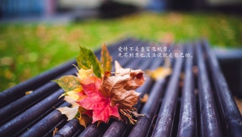 爱情不是飞机票