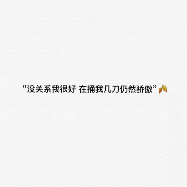 没关系，我很好，在捅我几刀我仍很骄傲