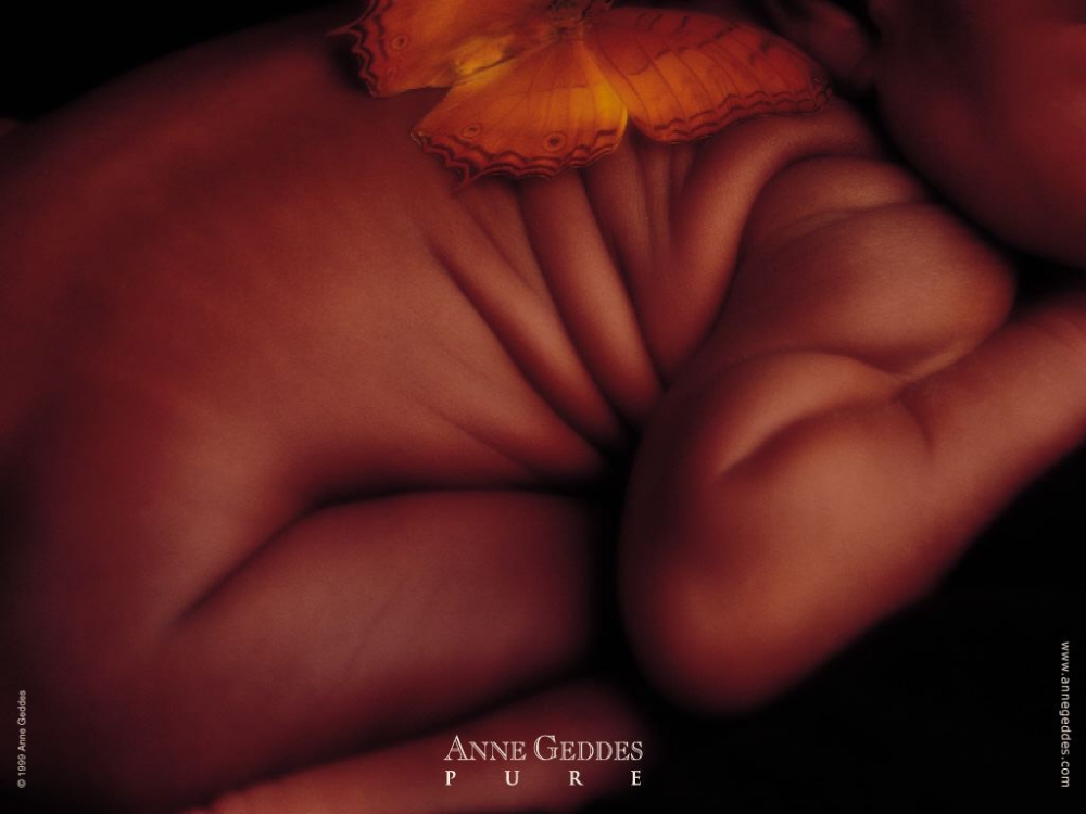 Anne宝贝 第三辑