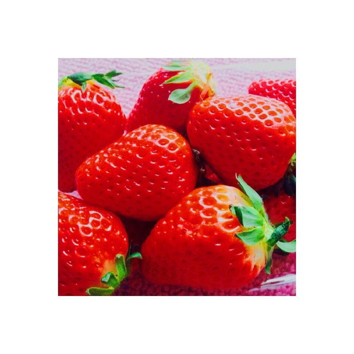 喜欢吃草莓的举手