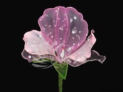水晶花灬