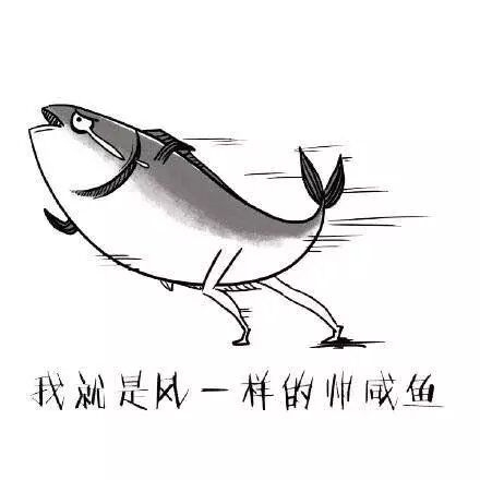 苏歌：我是一条帅气的咸鱼