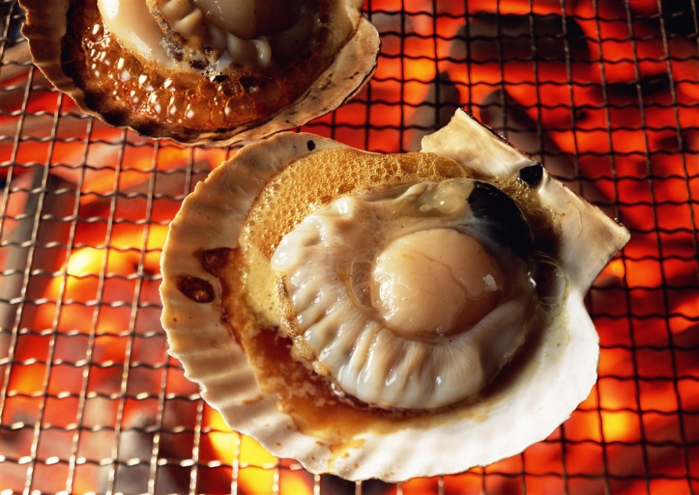 烧烤扇贝美食图片素材