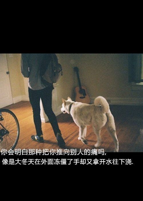 以为可以让你伤心，却不小心刺痛了自己 唯美图文