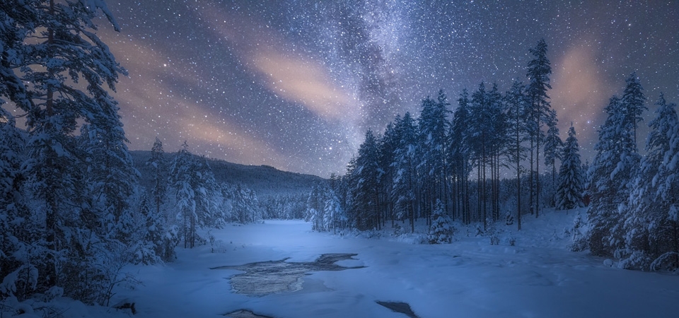 夜景 雪景 树木 自然冬天风景桌面壁纸