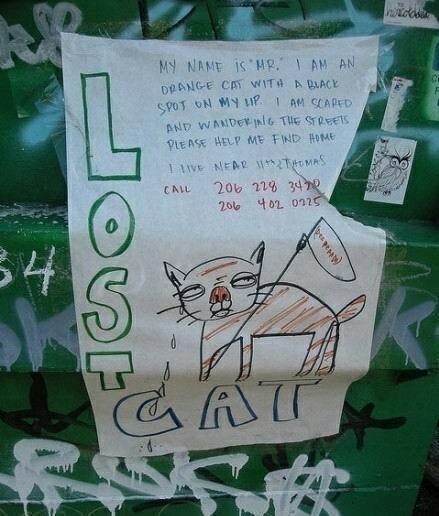 国外的寻猫启示真的是打算把猫找回来吗
