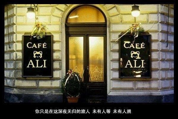 我怕爱会荒芜，却只能浇灌孤独