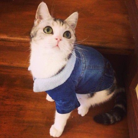 萌倒ゅ≈