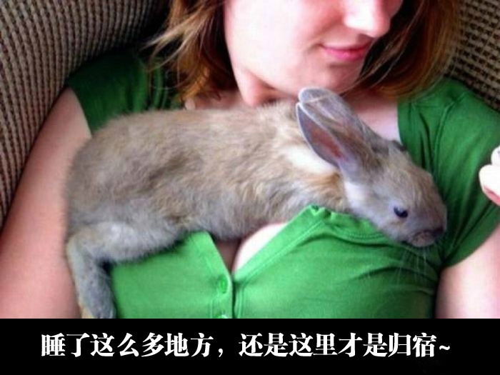 兔兔好会享受