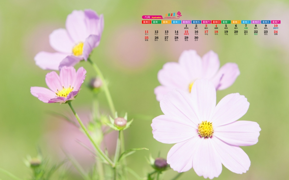 2016年9月日历清新桌面壁纸