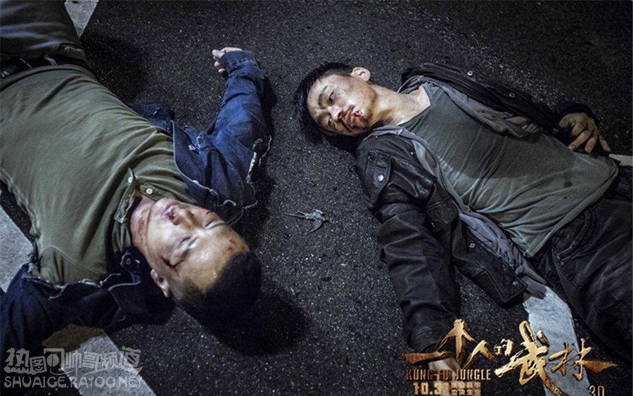《一个人的武林》王宝强饰演封于修剧照，甄子丹饰演夏侯武剧照