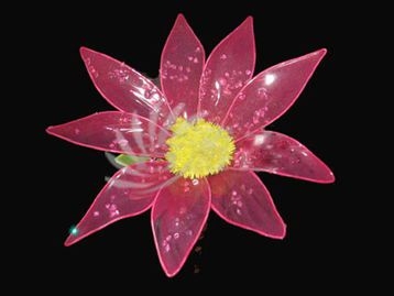水晶花灬