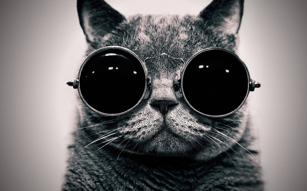 可爱猫星人桌面壁纸