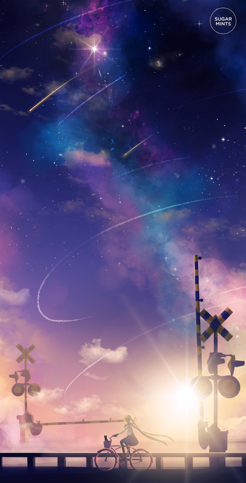 流星雨815x1600高清动漫图片壁纸678.4KB