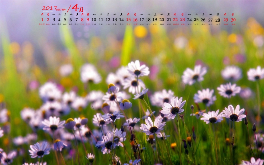 2017年4月植物小清新唯美意境高清日历壁纸