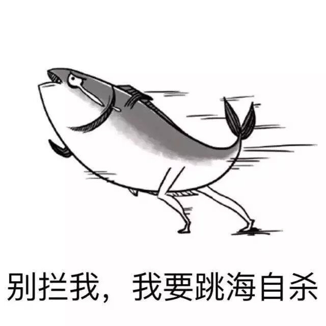 苏歌：我是一条帅气的咸鱼