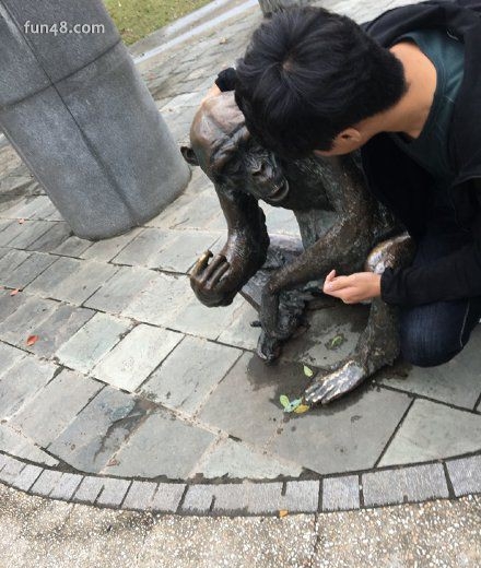 砂锅般大的拳头你见过吗？
