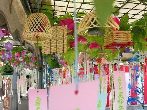 小清新田园风美丽风铃图片