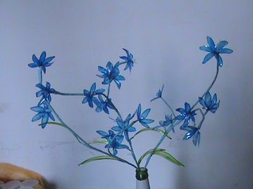 水晶花灬