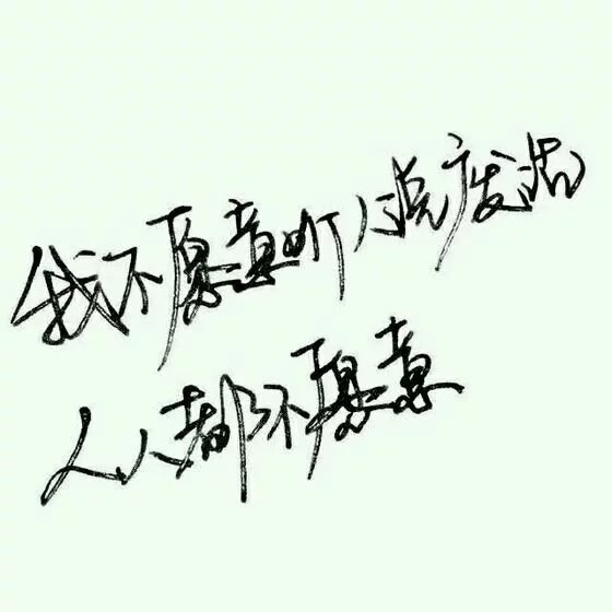藏不住的感情 理直气壮就好了