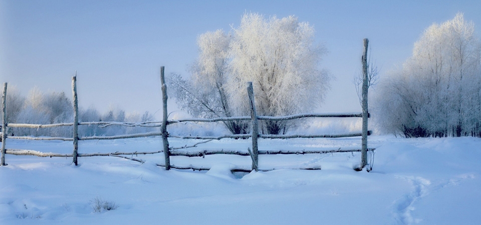 雪，早晨，雪栅栏，树林，冬天风景图片壁纸