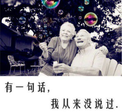 愿得一人心白首不分离。