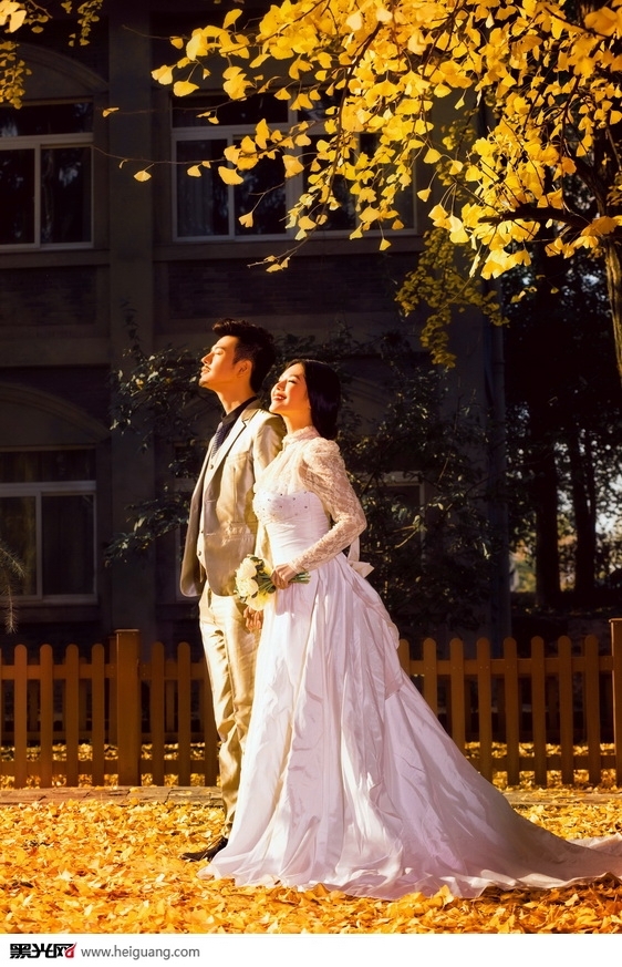 秋的记忆 婚纱照