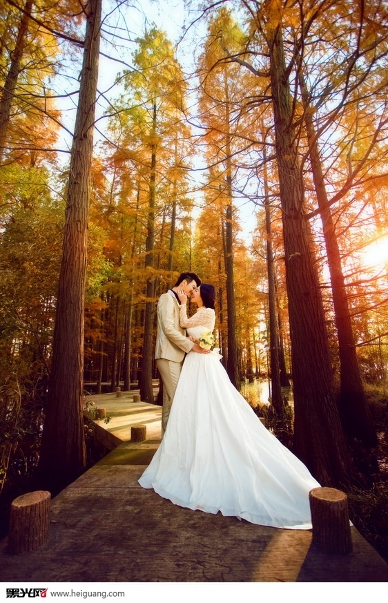 秋的记忆 婚纱照