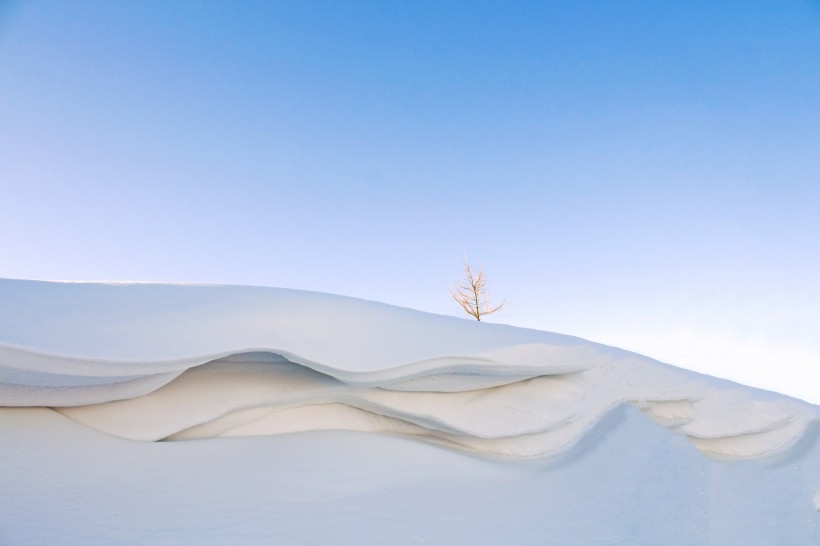 白色的雪舌雪景图片