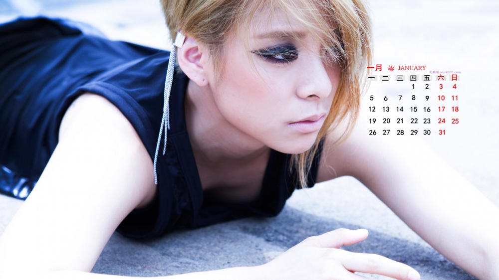 2015年1月日历壁纸精选欧美美女极致性感诱惑高清图片合集下载
