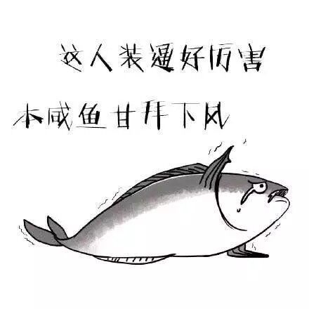 苏歌：我是一条帅气的咸鱼