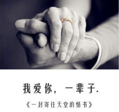 愿得一人心白首不分离。