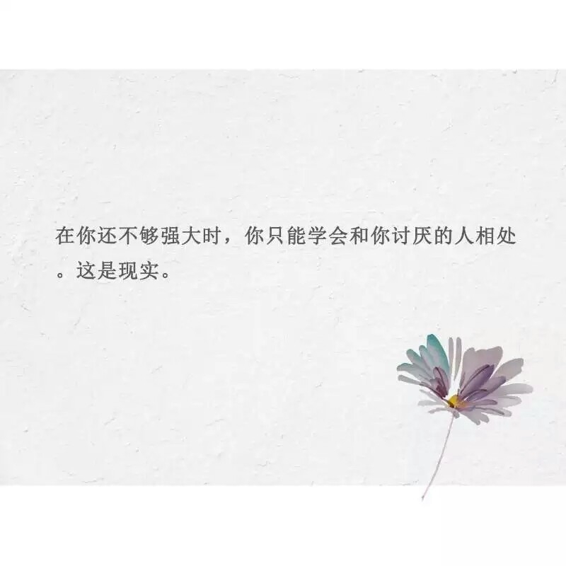 最好的相遇 是久别重逢