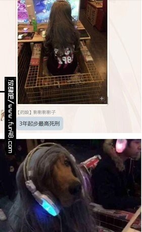 三年血赚，死刑不亏
